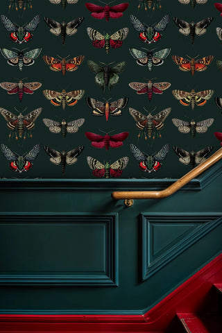 Detailed entomology wallpaper with colorful moths on emerald background, displayed in elegant hallway with brass handrail