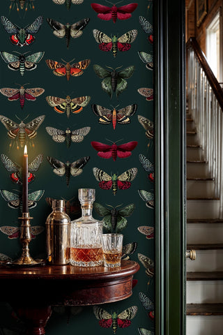 Entomology wallpaper with moths and butterflies on deep green background, shown in elegant entryway with crystal decanters