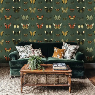 Museum-style butterfly wallpaper with detailed wing patterns, shown in cozy living room with vintage coffee table