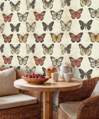 Natural history butterfly wallpaper featuring detailed wing patterns in cozy breakfast area with wicker furniture