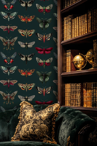 Natural history wallpaper featuring detailed specimen moths in scientific style, displayed in sophisticated study with leather-bound books