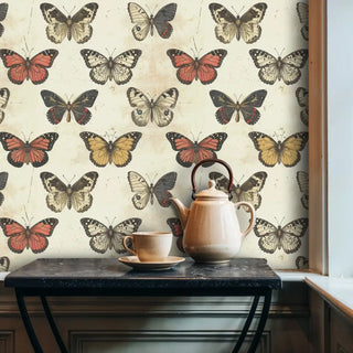 Scientific butterfly pattern wallpaper with vintage charm displayed in rustic kitchen corner with ceramic teapot
