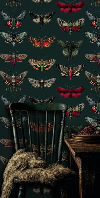 Victorian entomology wallpaper featuring detailed moths and butterflies in red, green, and cream tones, shown in rustic dining room with wooden chair