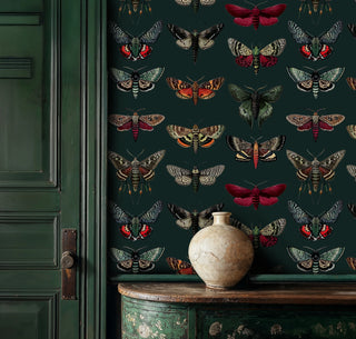 Victorian specimen wallpaper featuring colorful moths and butterflies, displayed in refined space with antique ceramic vase
