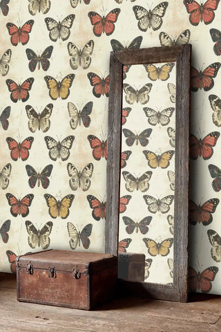 Vintage lepidoptera wallpaper featuring monarch and specimen butterflies with weathered wooden mirror frame